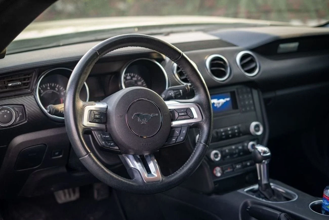dce_800569-7.jpg