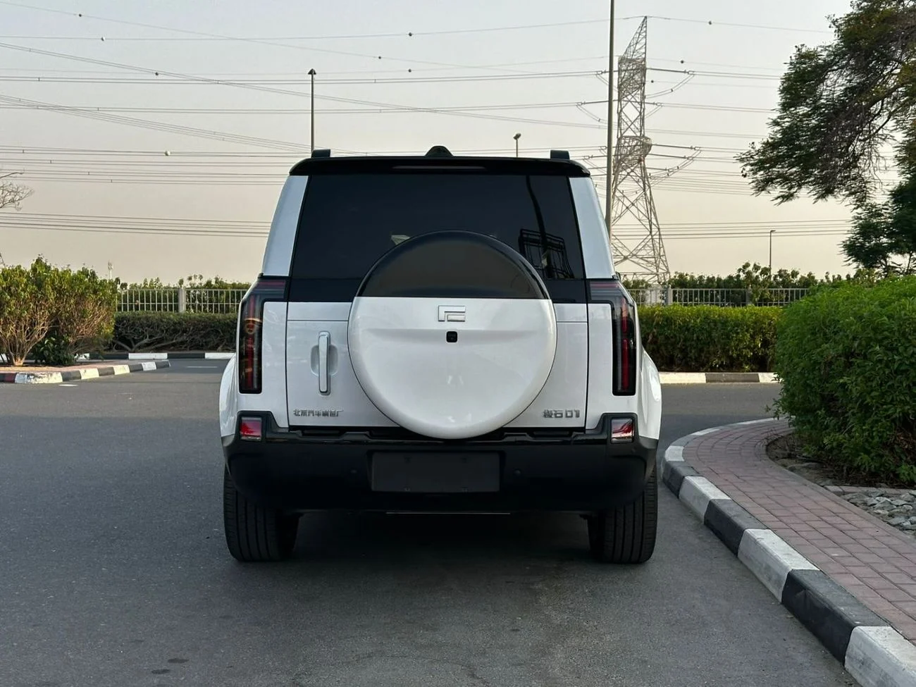 dce_800611-4.jpg