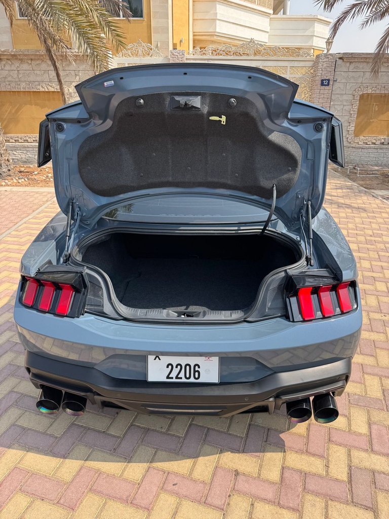 dce_800713-11.jpg