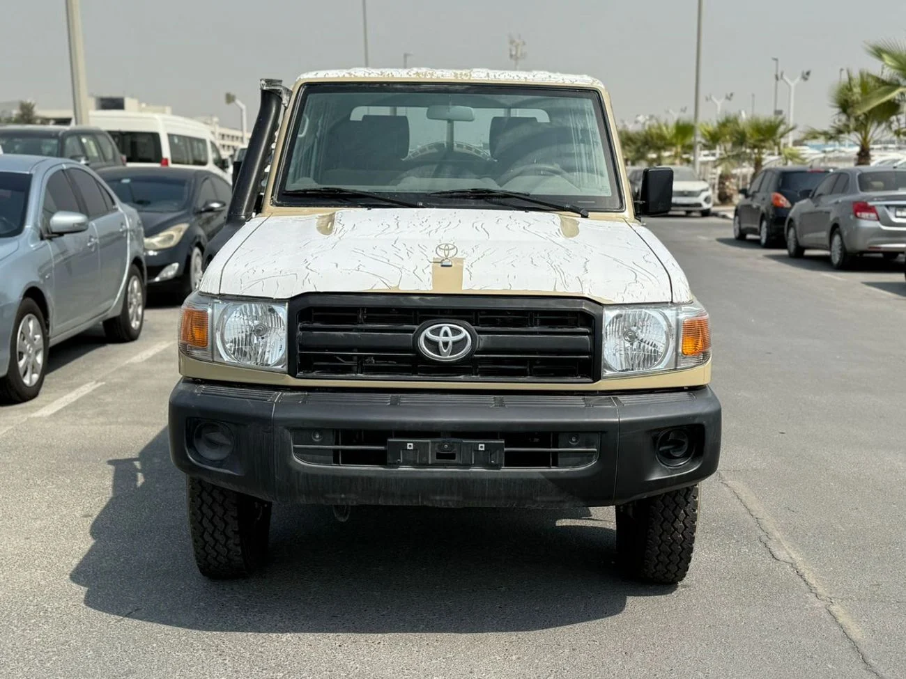 dce_800878-2.jpg