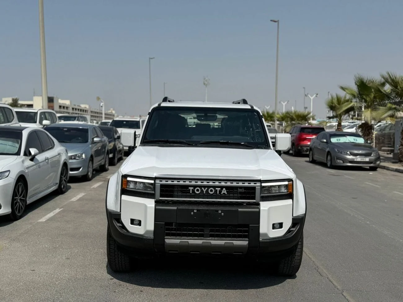 dce_800906-2.jpg