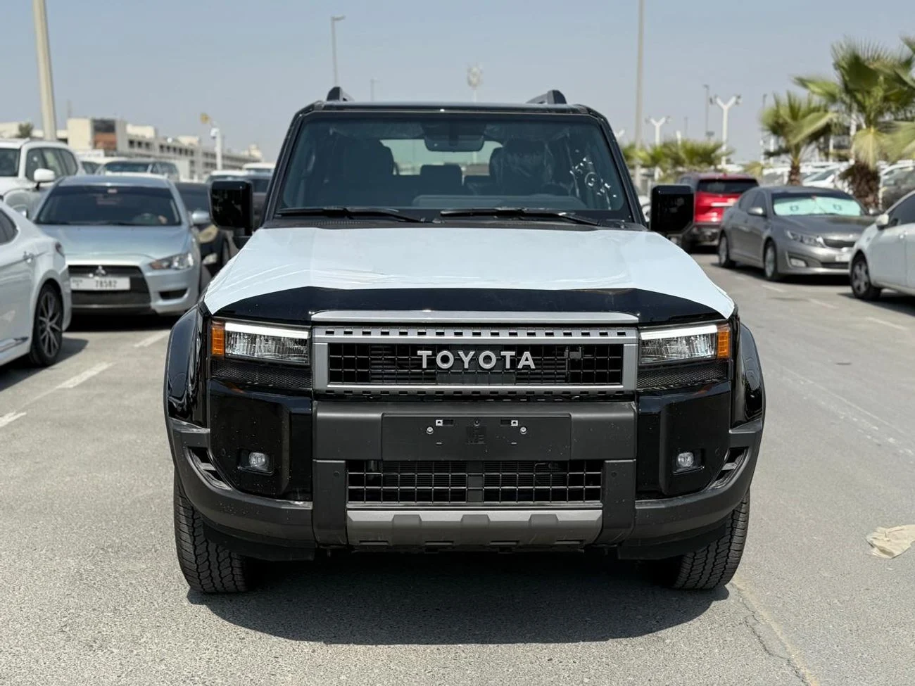 dce_800907-3.jpg
