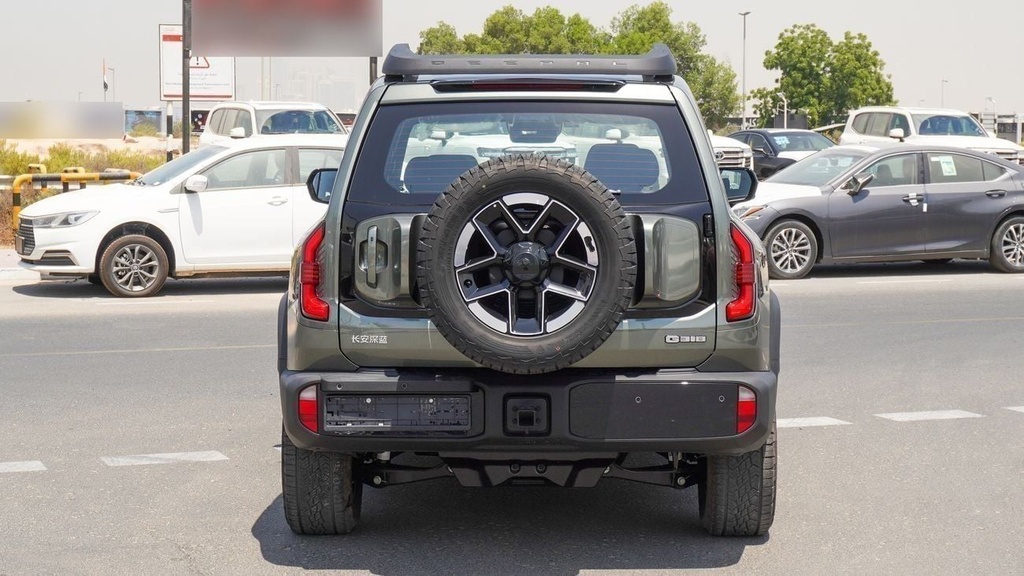 dce_800981-19.jpg