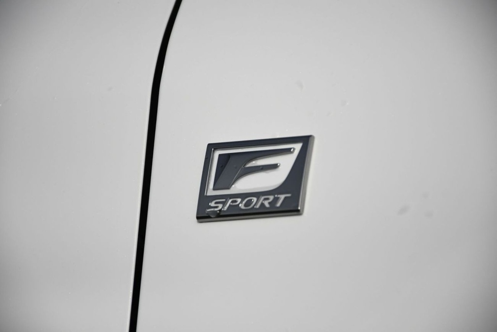 dce_800494-6.jpg