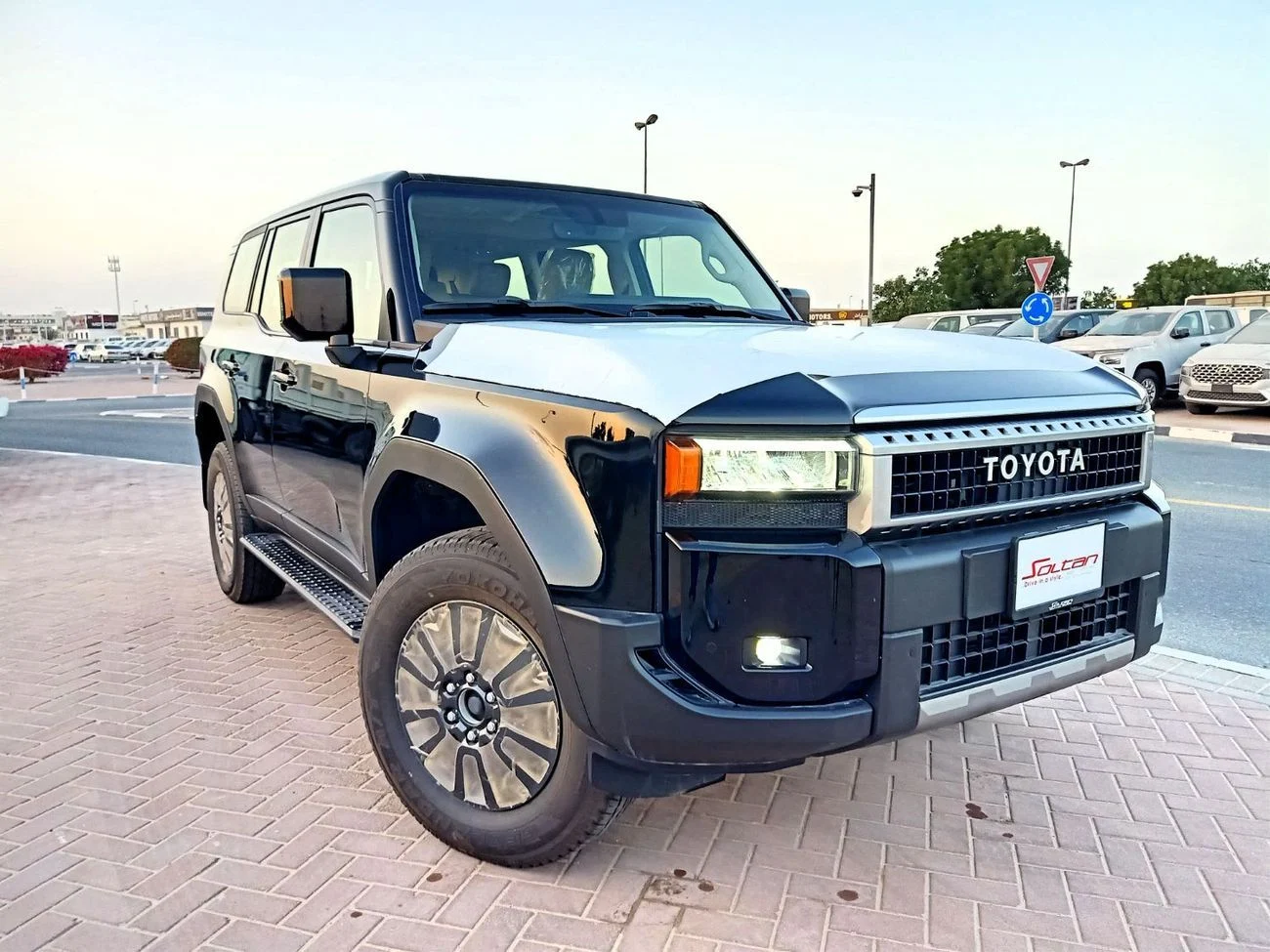 dce_801090-3.jpg