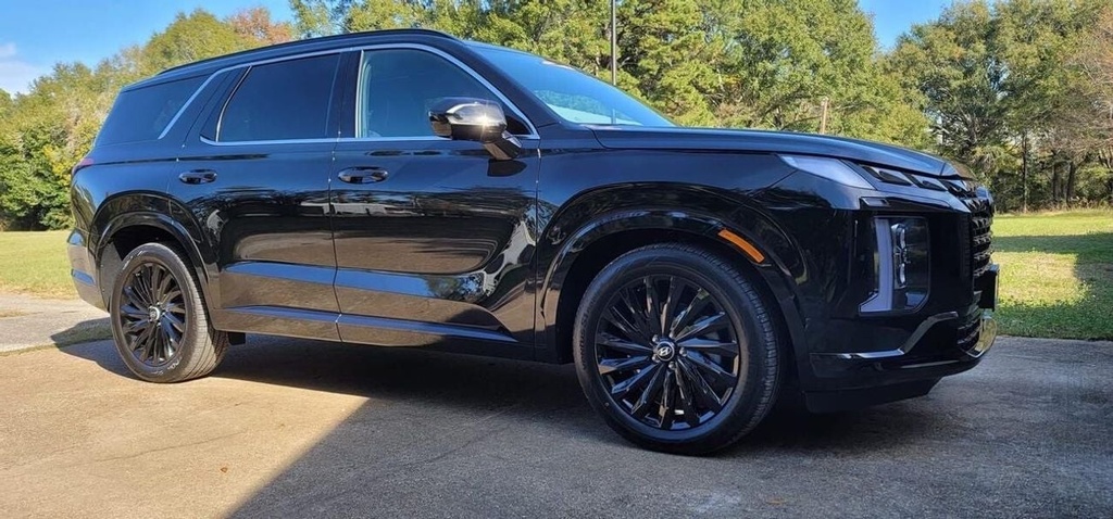 2025 Hyundai Palisade in Black - Low Mileage, Petrol Engine, Automatic Transmission